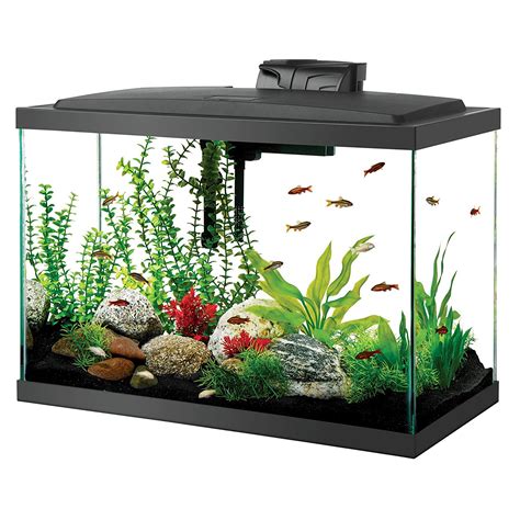 20 gallon fish tank aquarium - 20 gallon fish tank that comes with the lid, a heater, a filter, and a few filter necessities as shown in picture.. Only used for about 2 years and still in good condition. A tank divider and a...